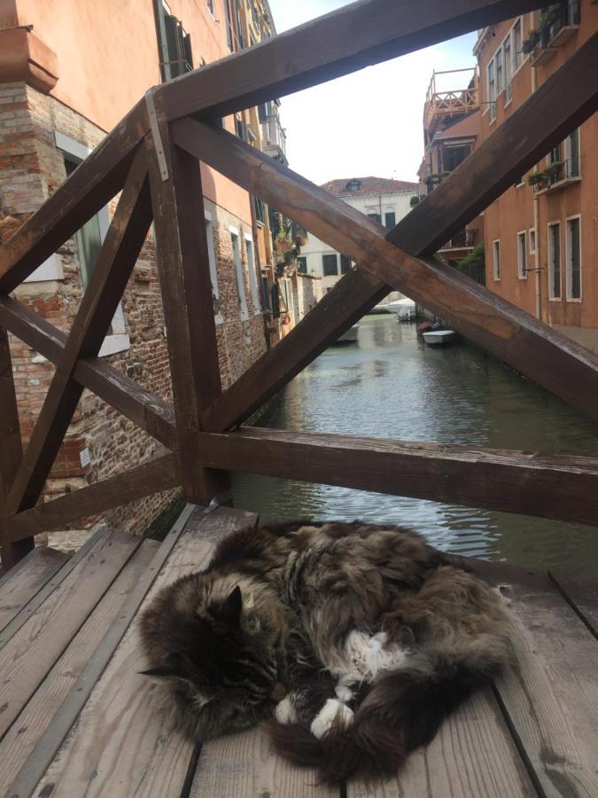 Tintoretto Vista Real เวนิส ภายนอก รูปภาพ